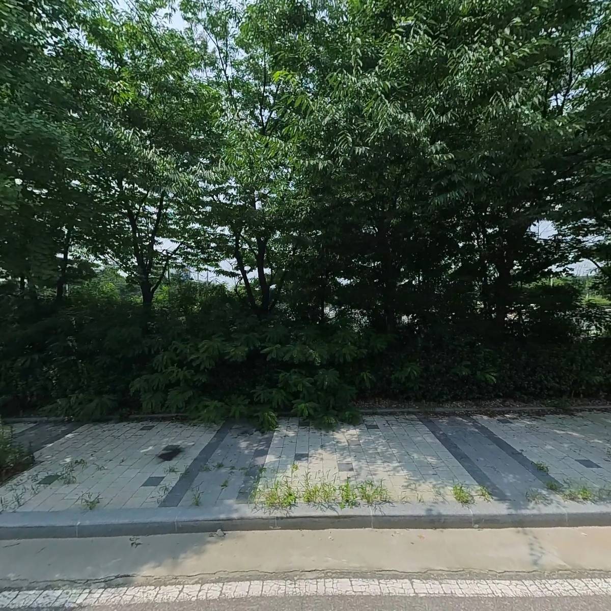 주식회사 동경알이에프