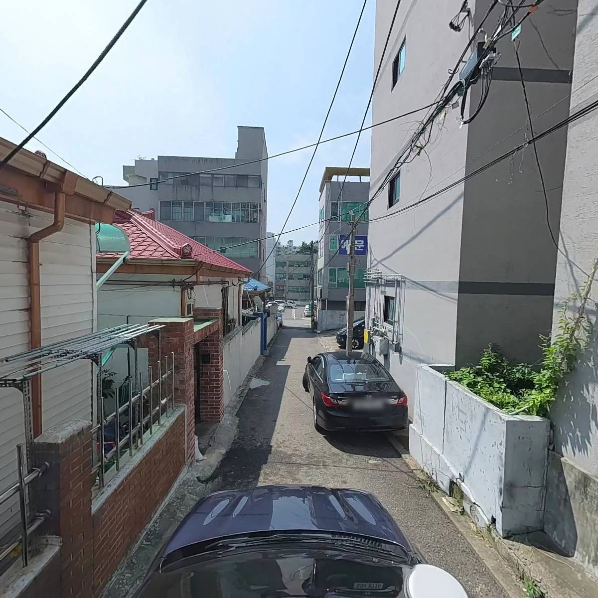 효월드 코리아_4
