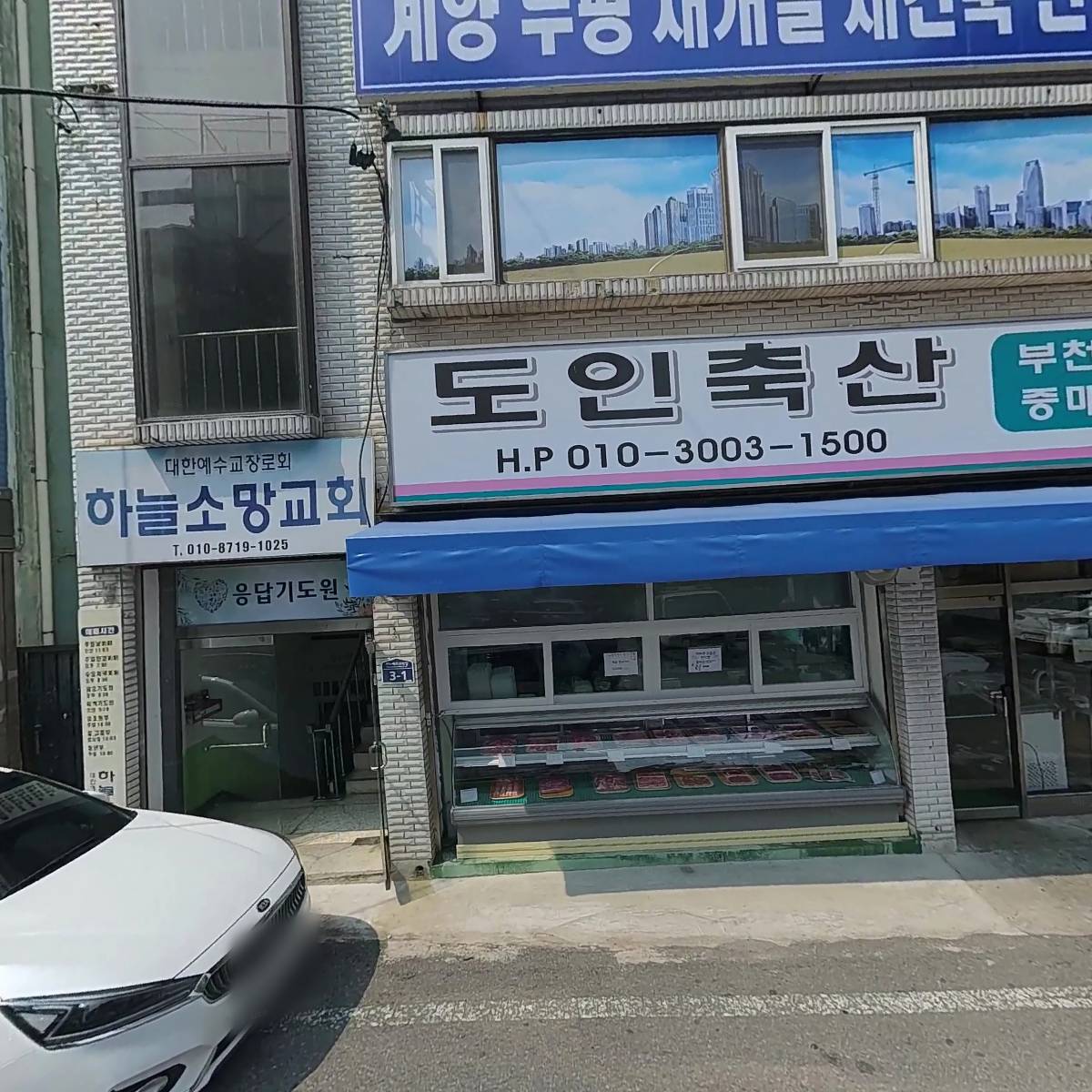 김규화