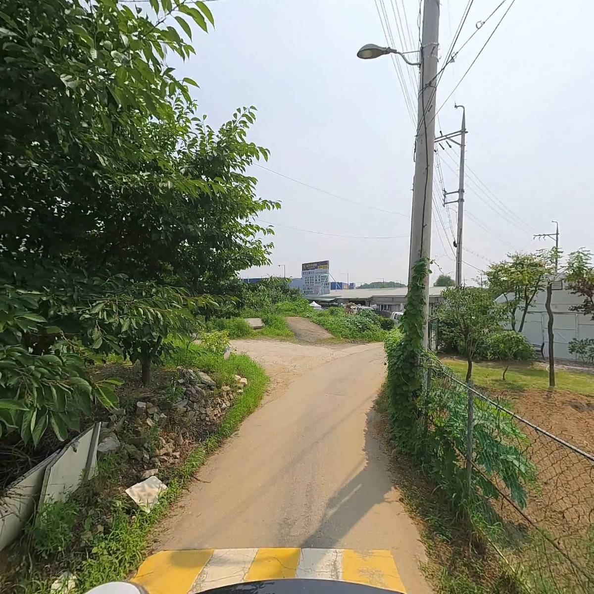 정글라스_2