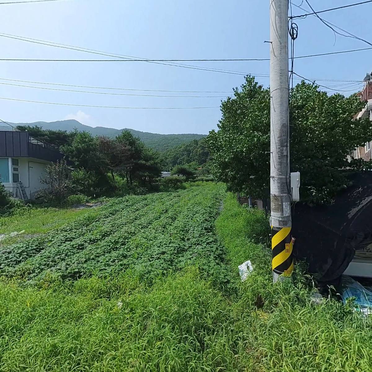 팔당늘푸른영농조합_3