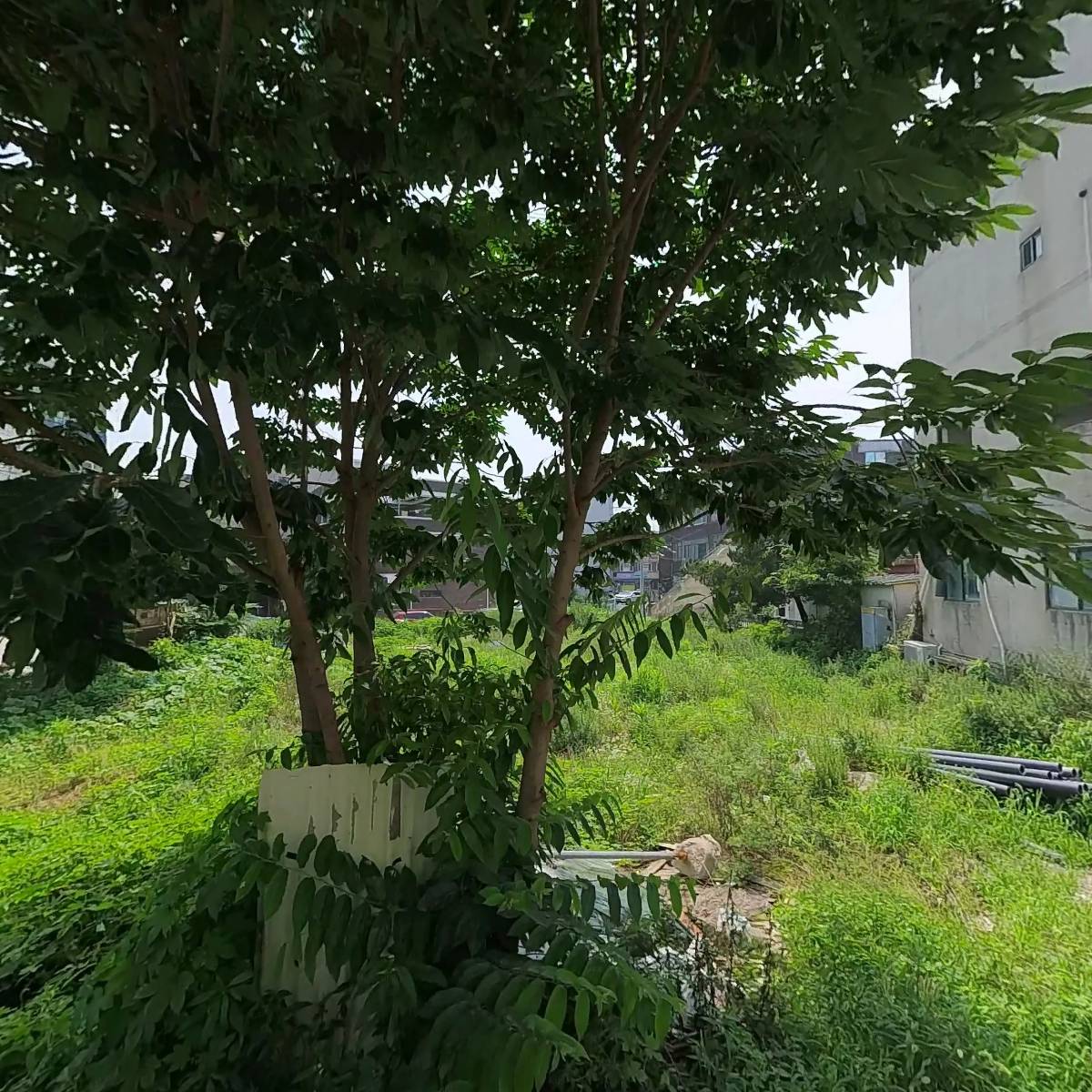 OK마트능평