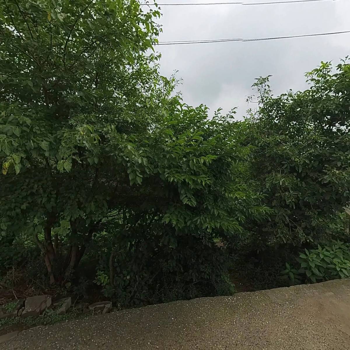 （주）더존필터_3