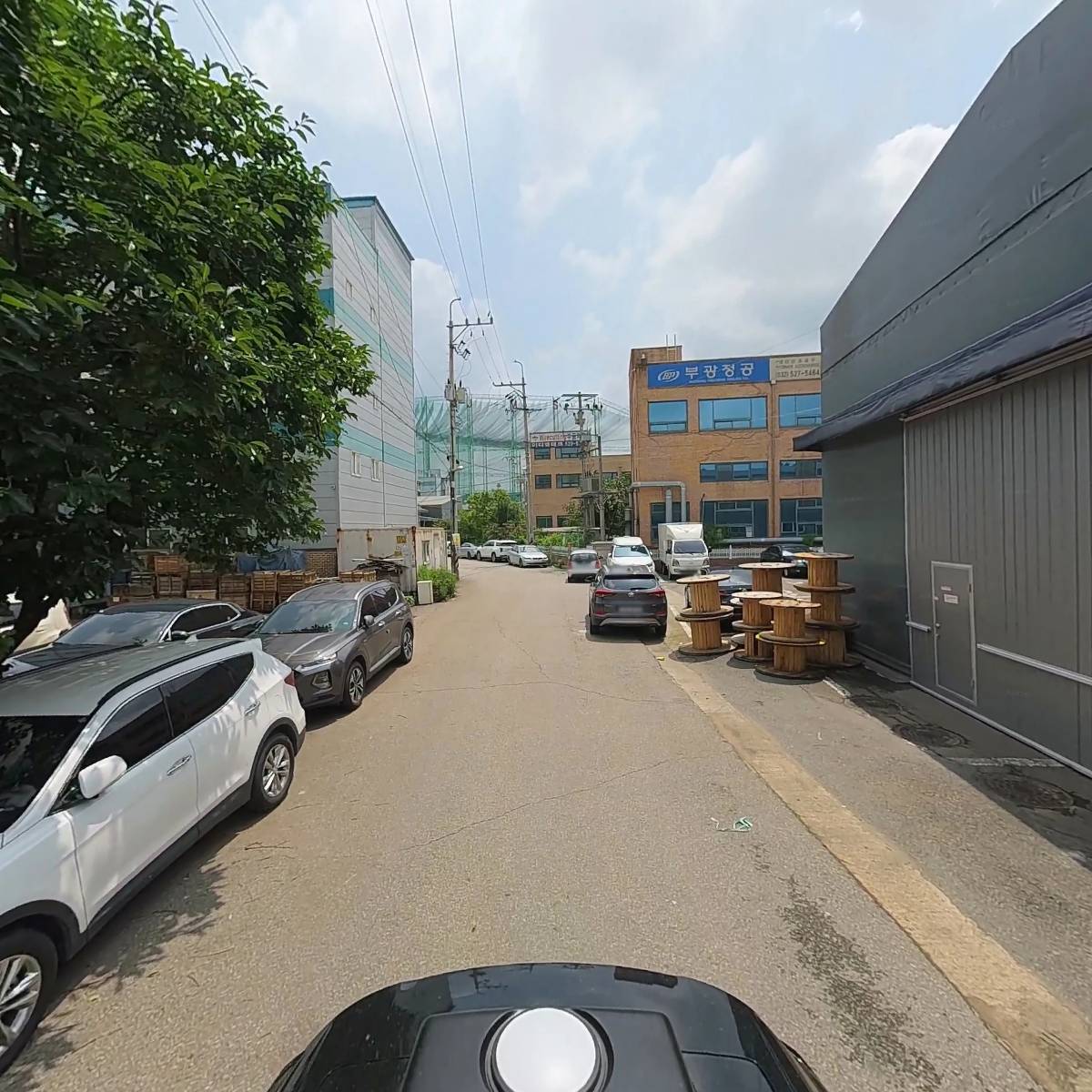해농_2