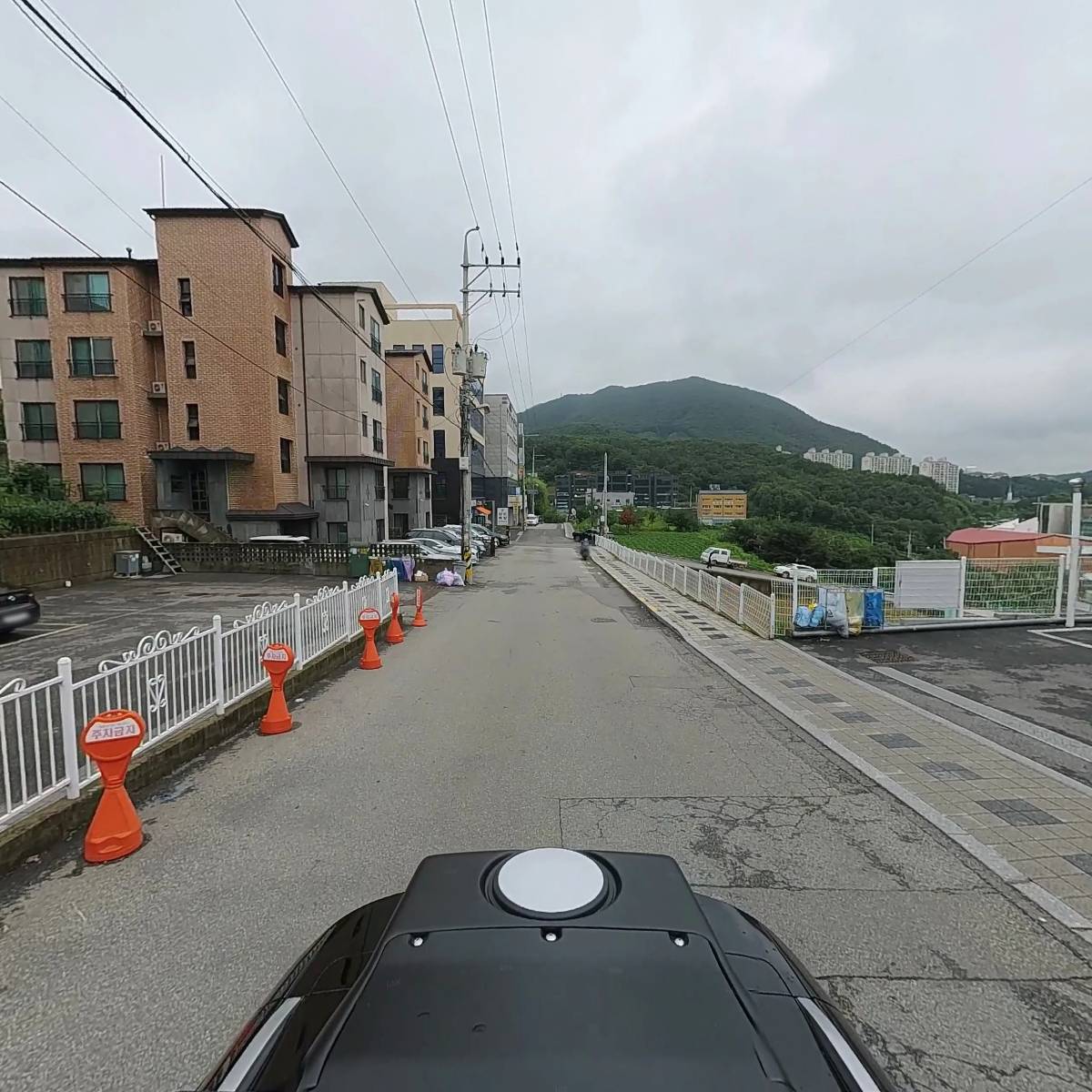 단밀_2