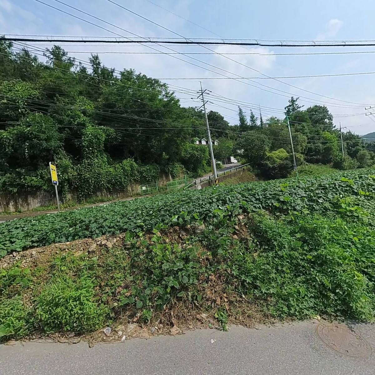 세미푸드 서울_3