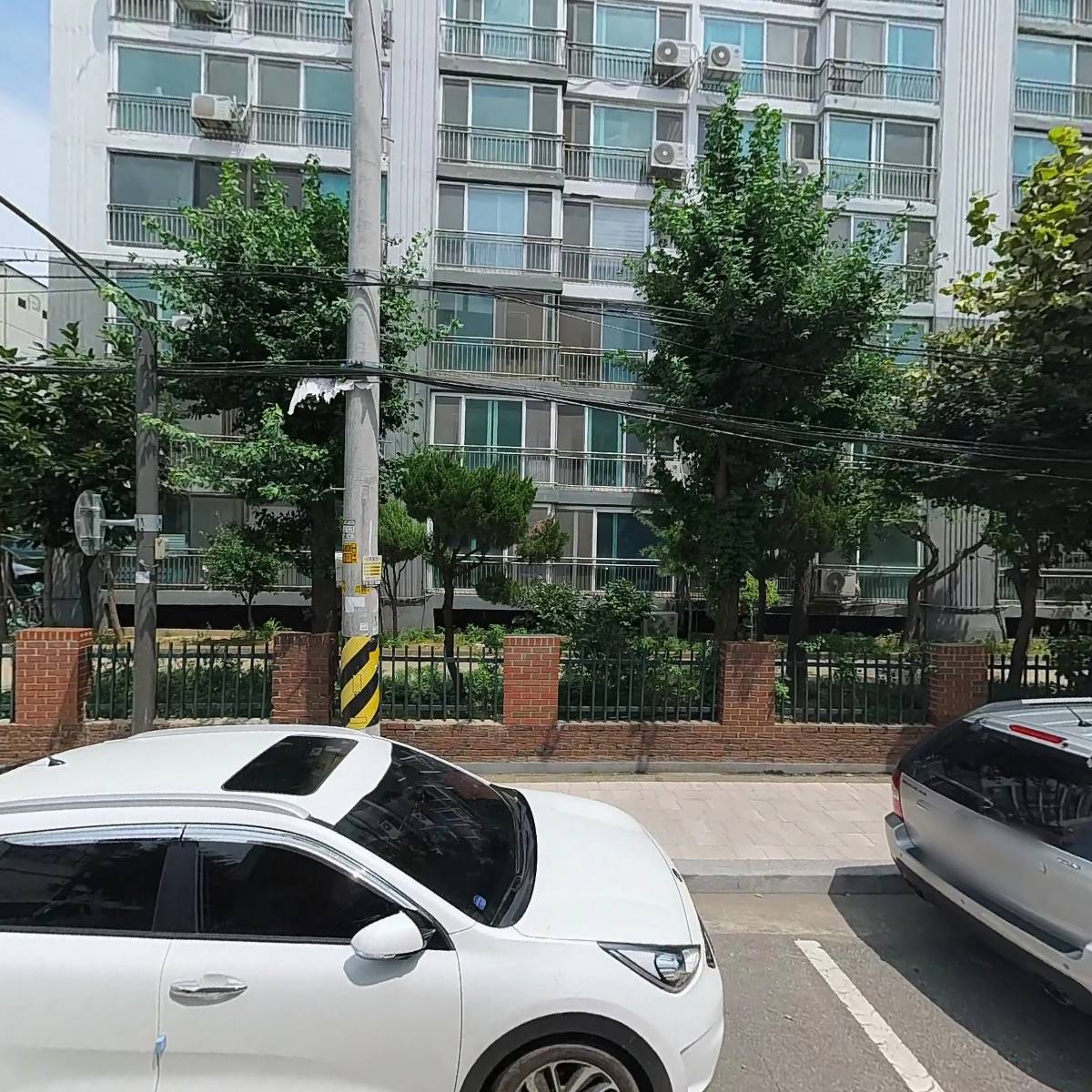 린채_3