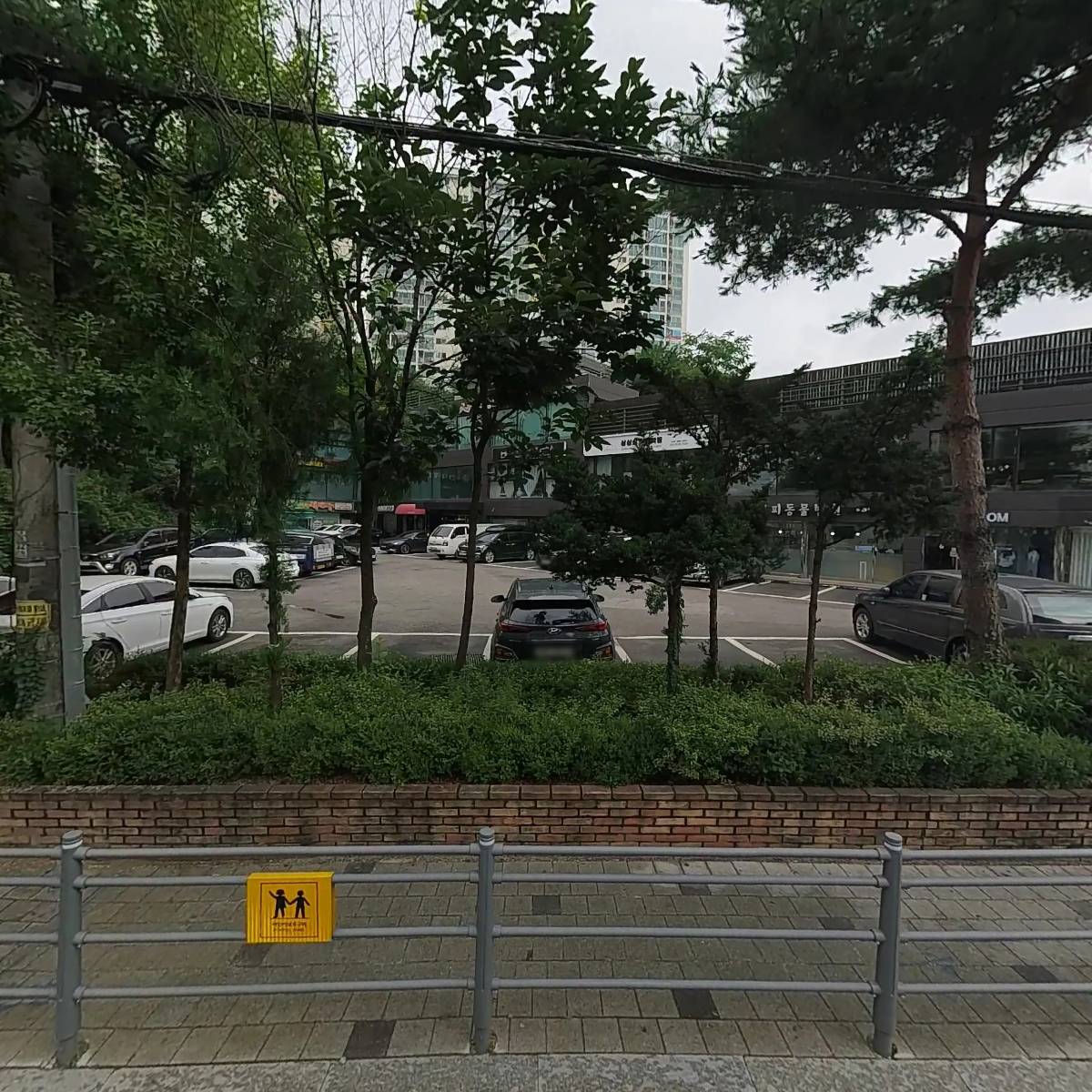 모아모아