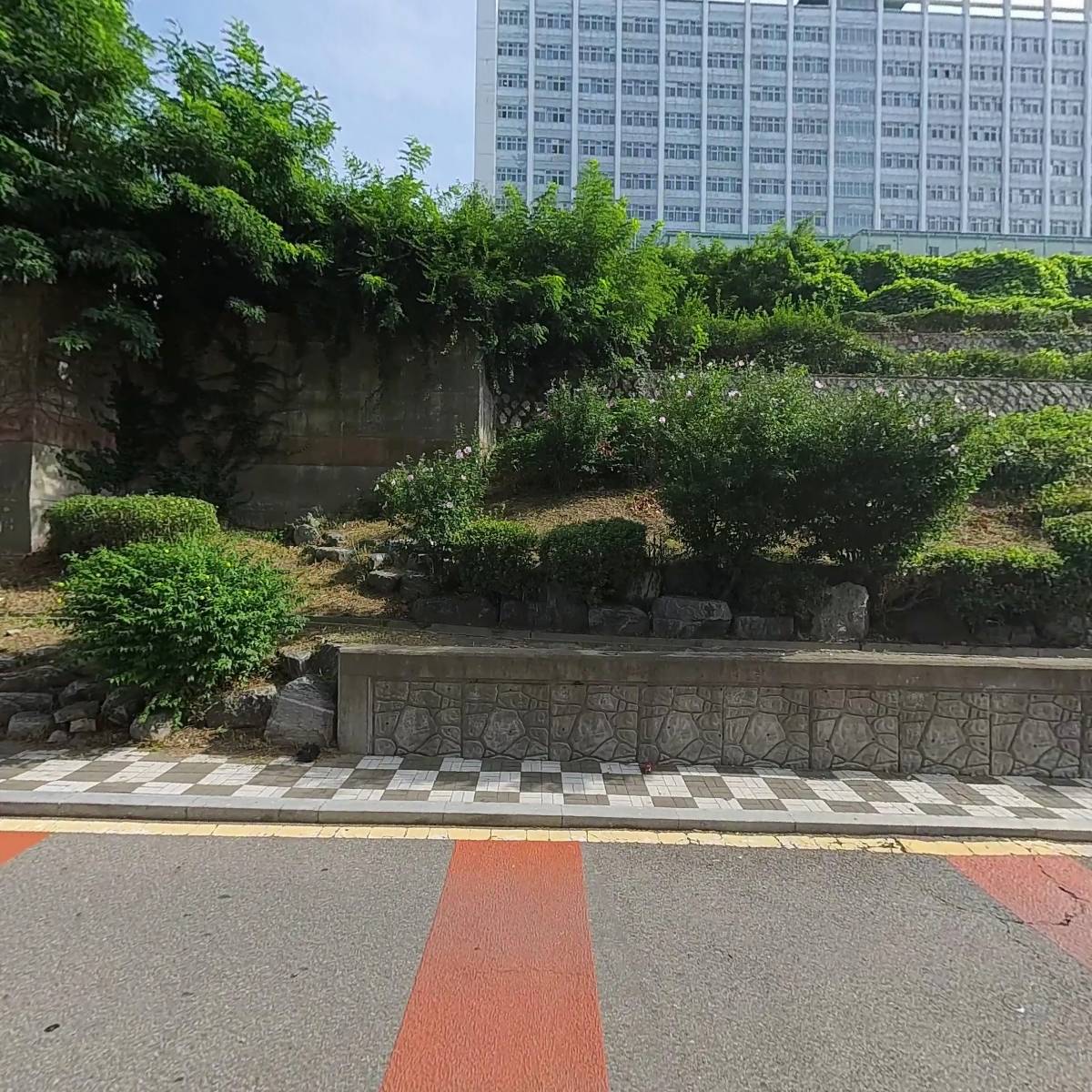 하이코이누_3