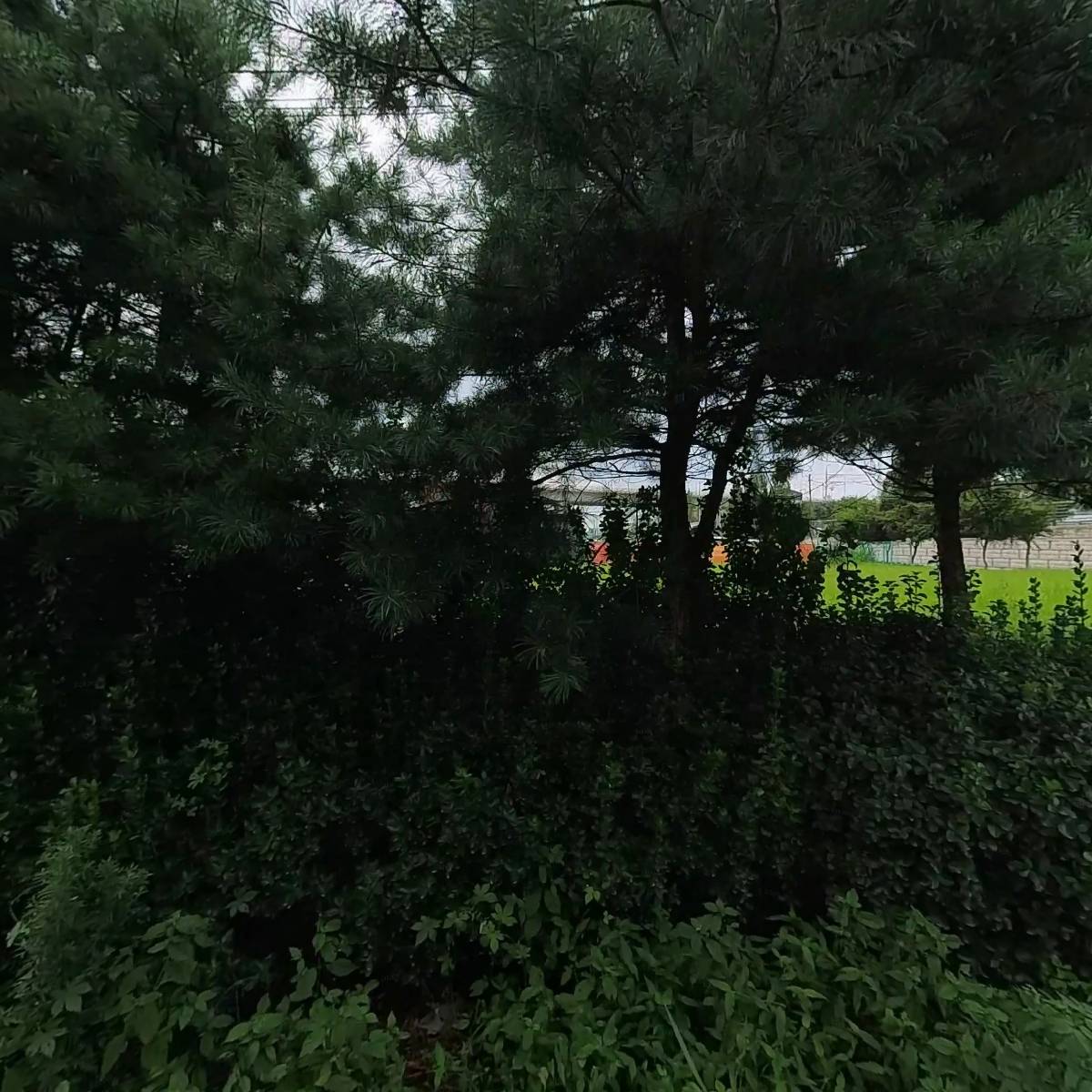 바른타일