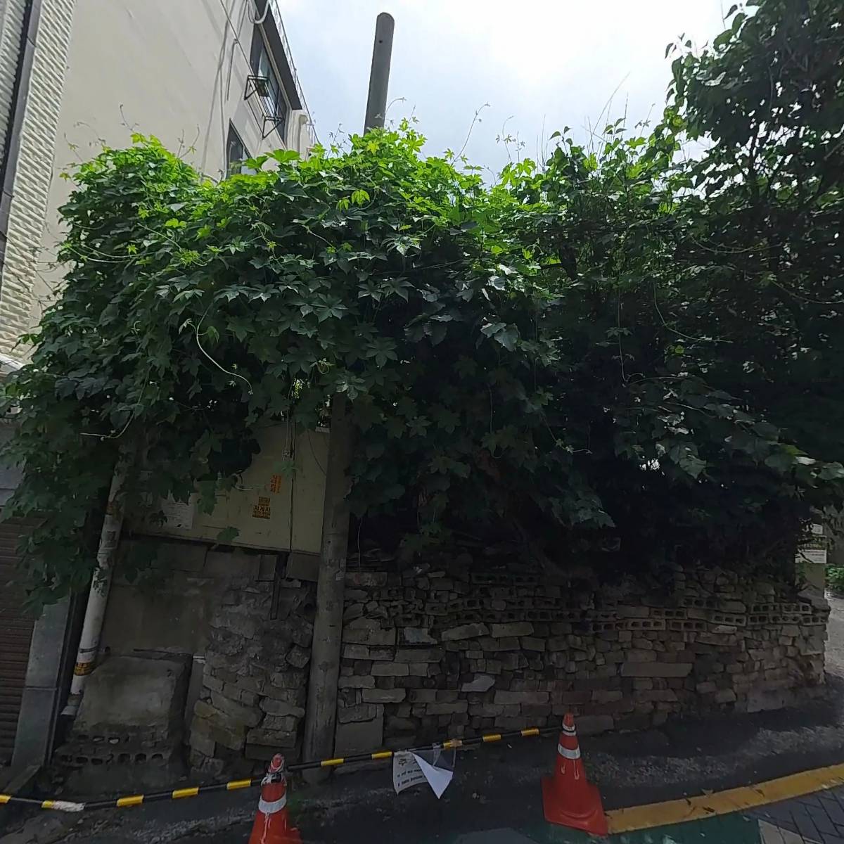 한국코리스(주)_3