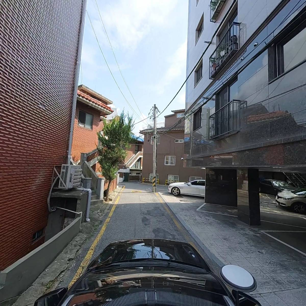 하바드코리아_4
