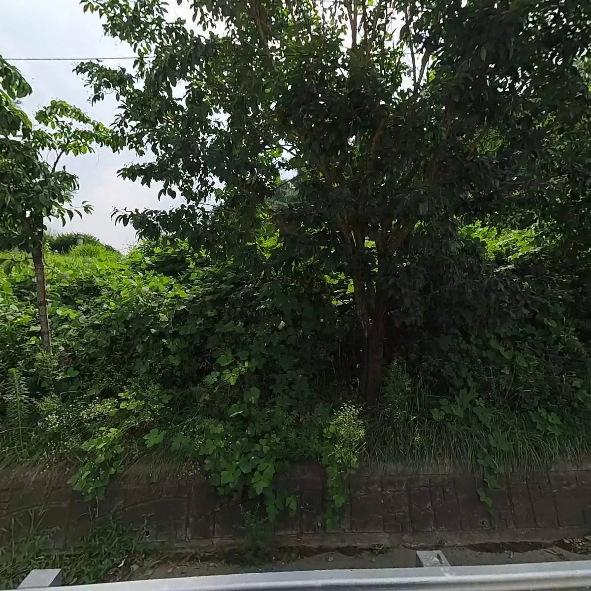 주식회사가운건축