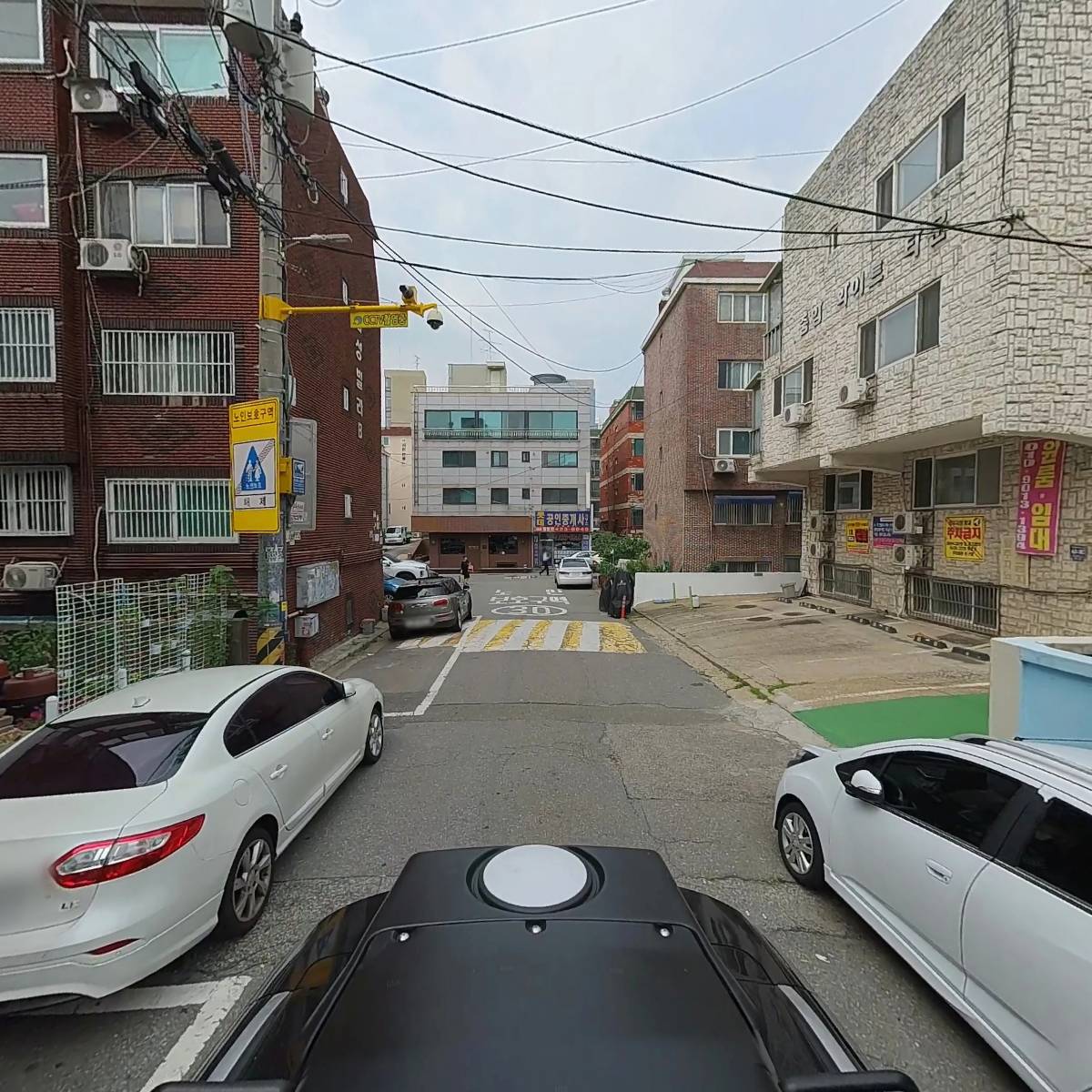 오디즈(Odis)_2