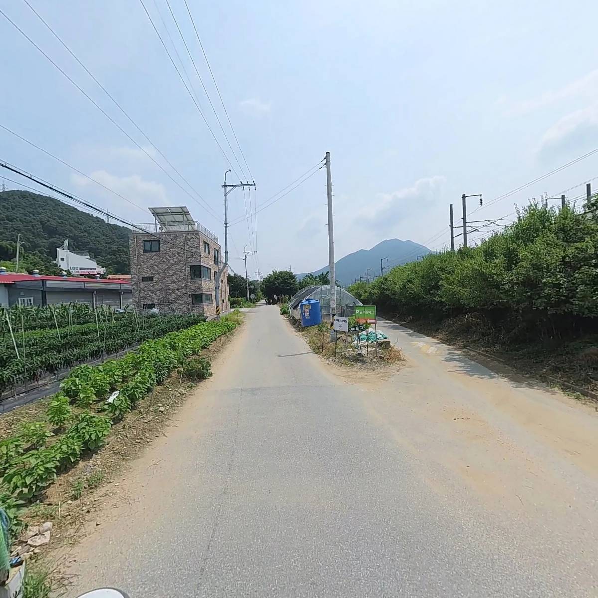 푸드앤푸드_2