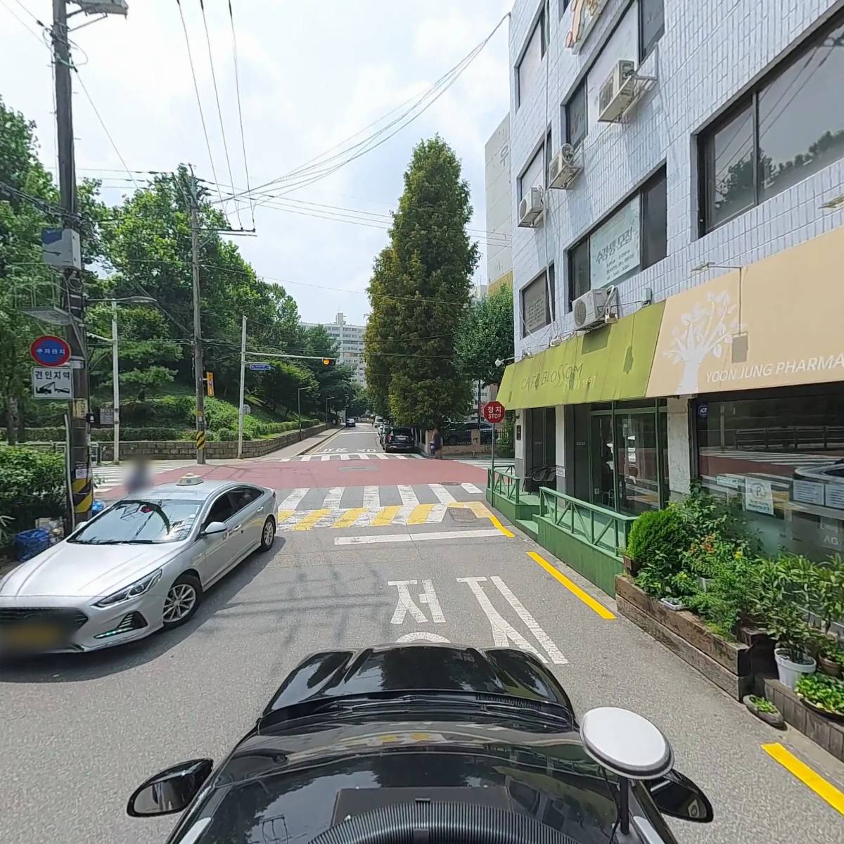 와일드어스 주식회사_4