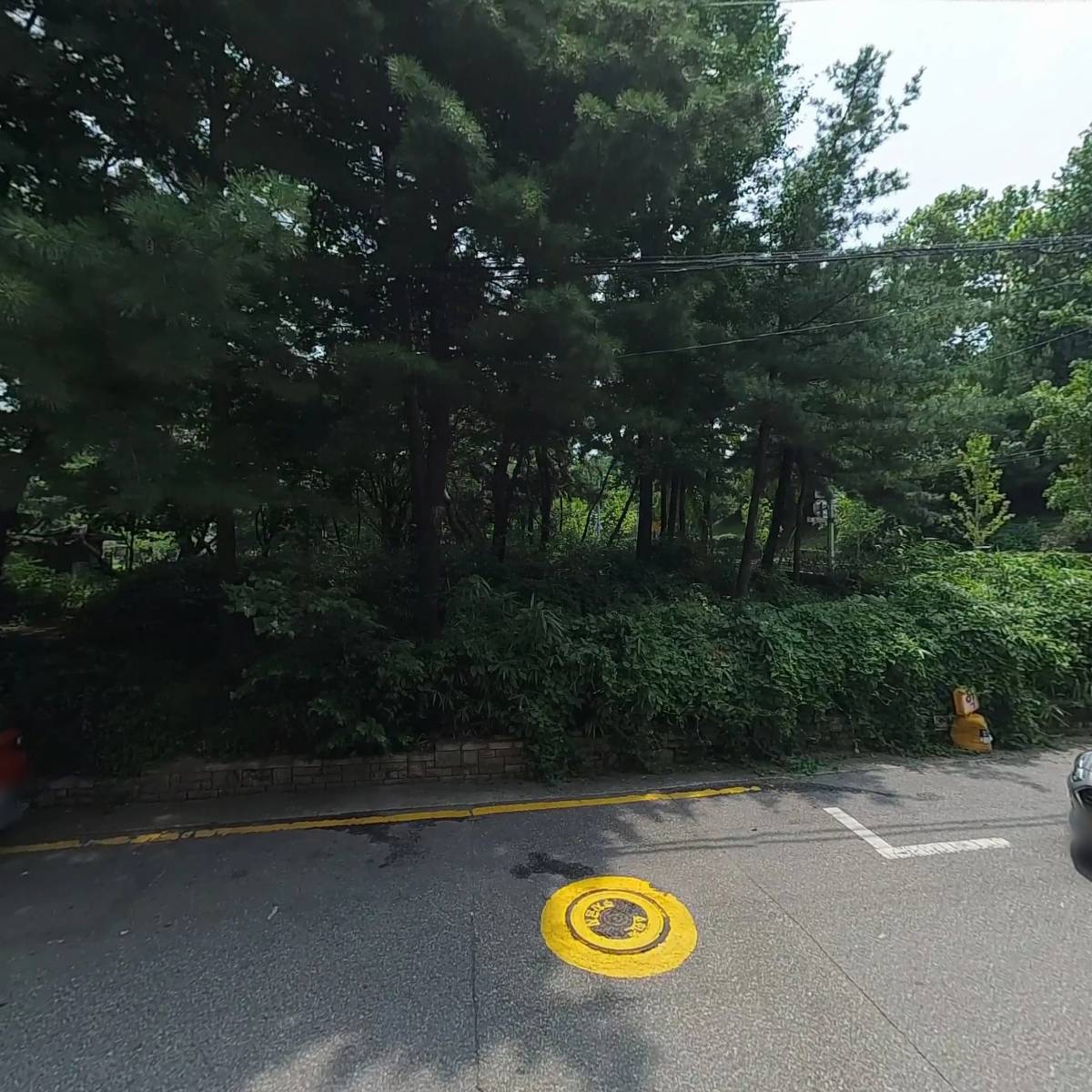 와일드어스 주식회사_3