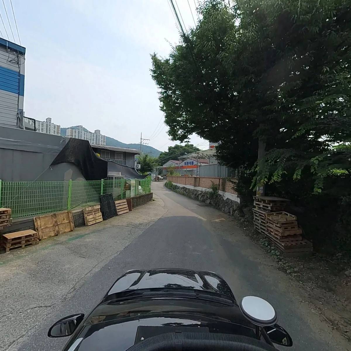 굿모닝골프_4