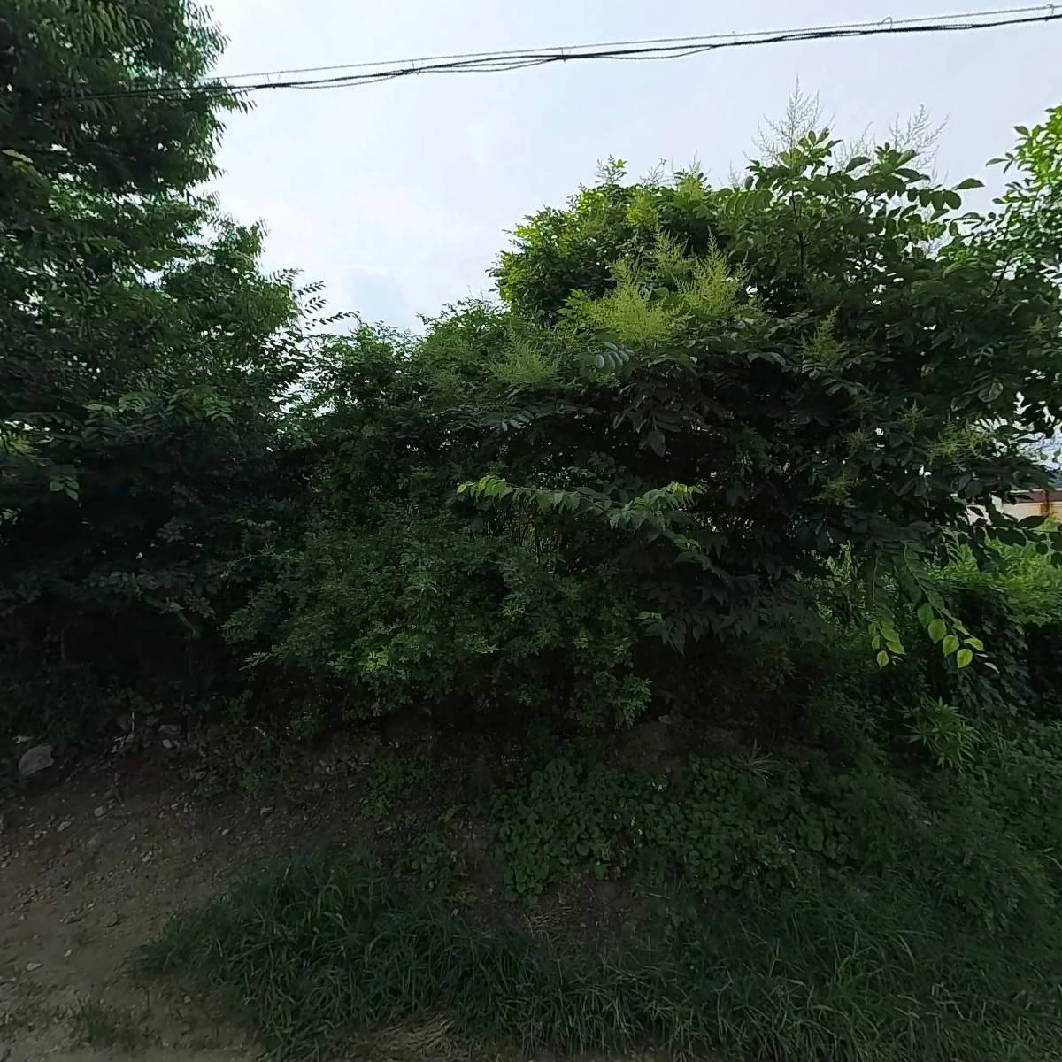 굿모닝골프