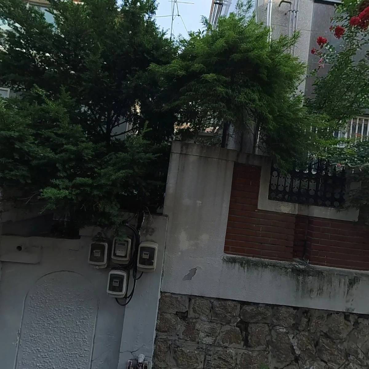 꿀벌유통_3