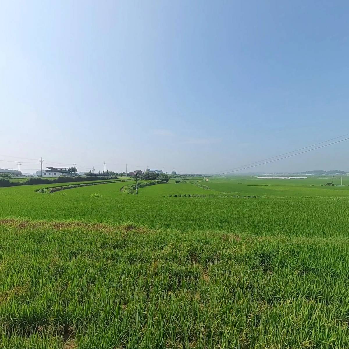 분홍염소체험교육농장_3