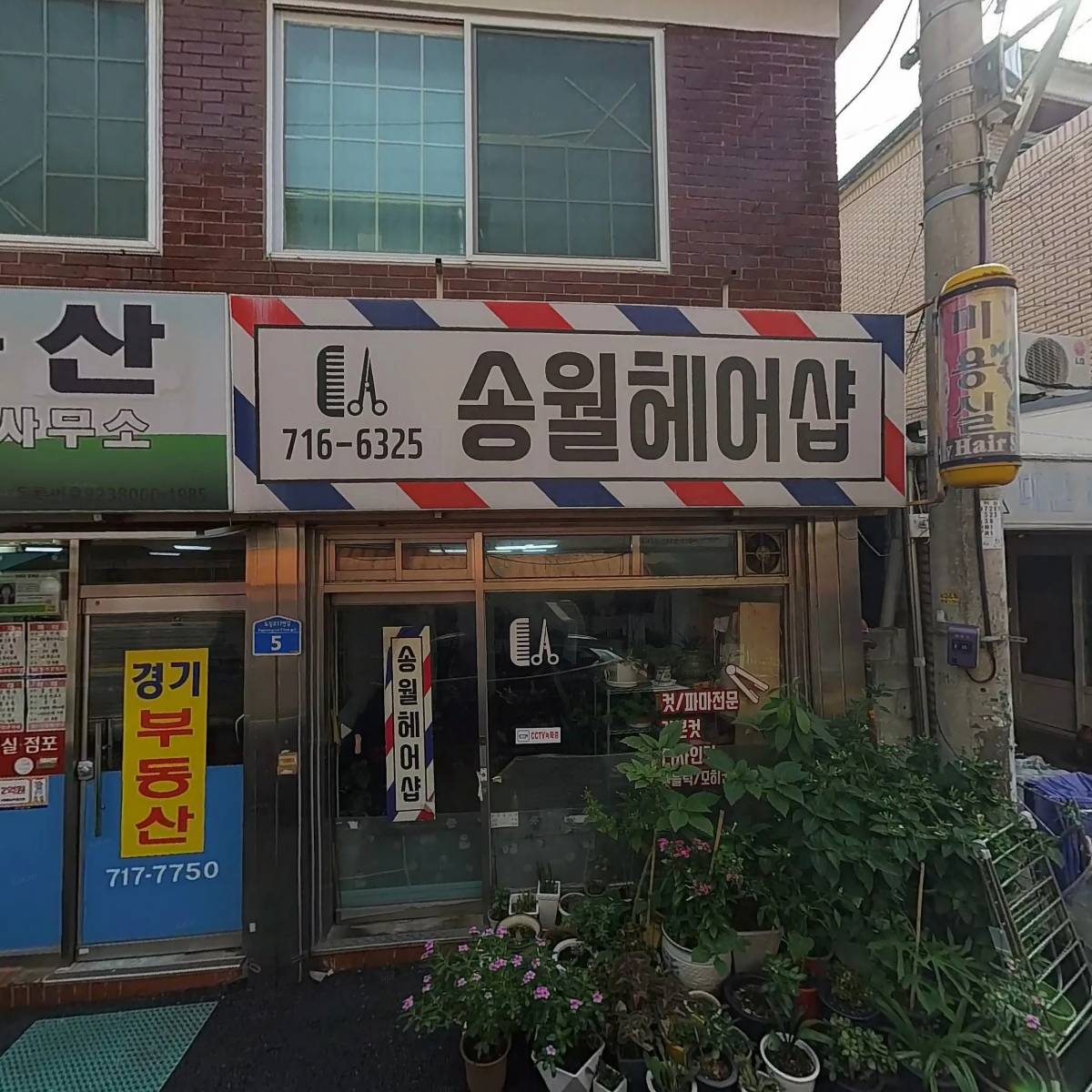 꼴리