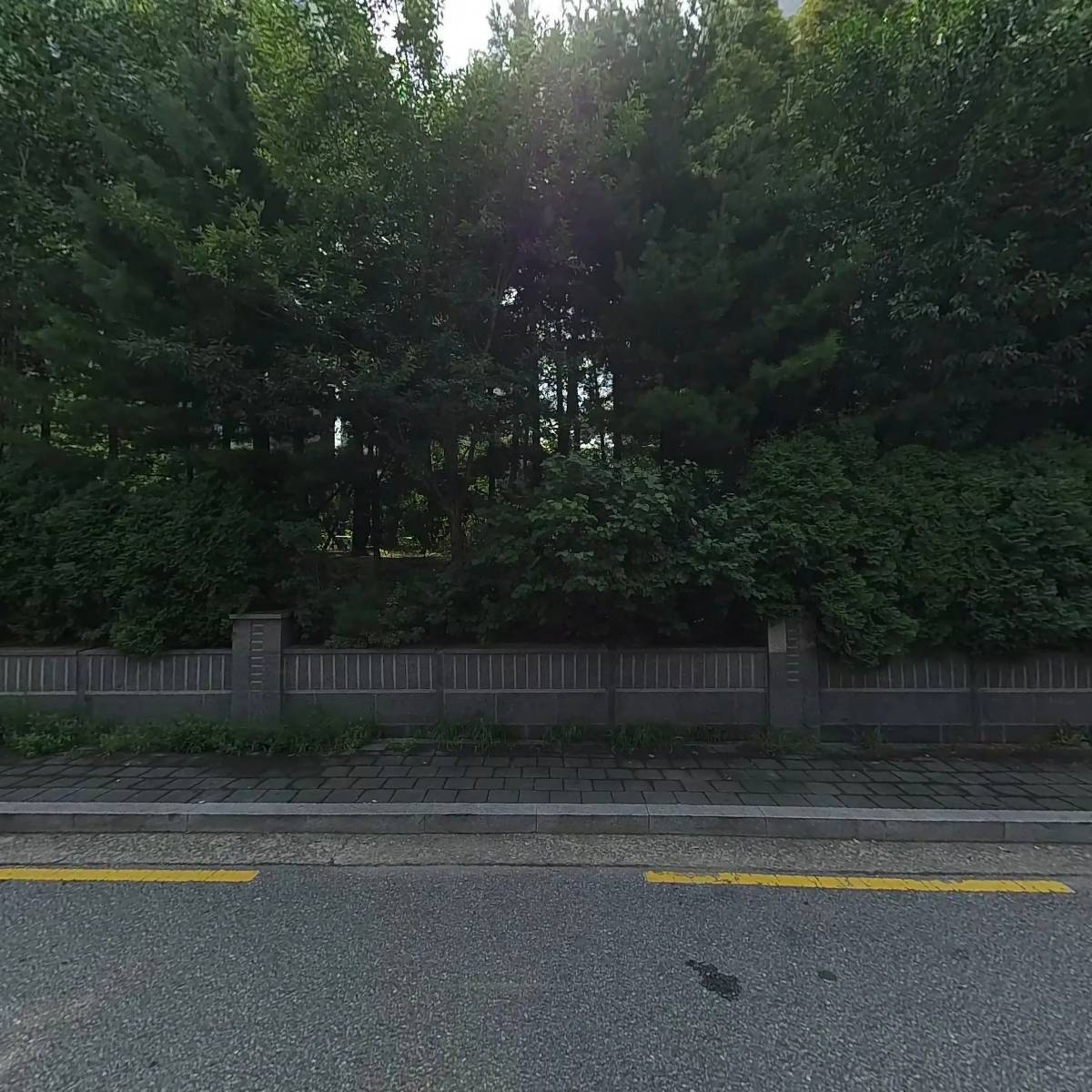 늘푸른어린이집_3