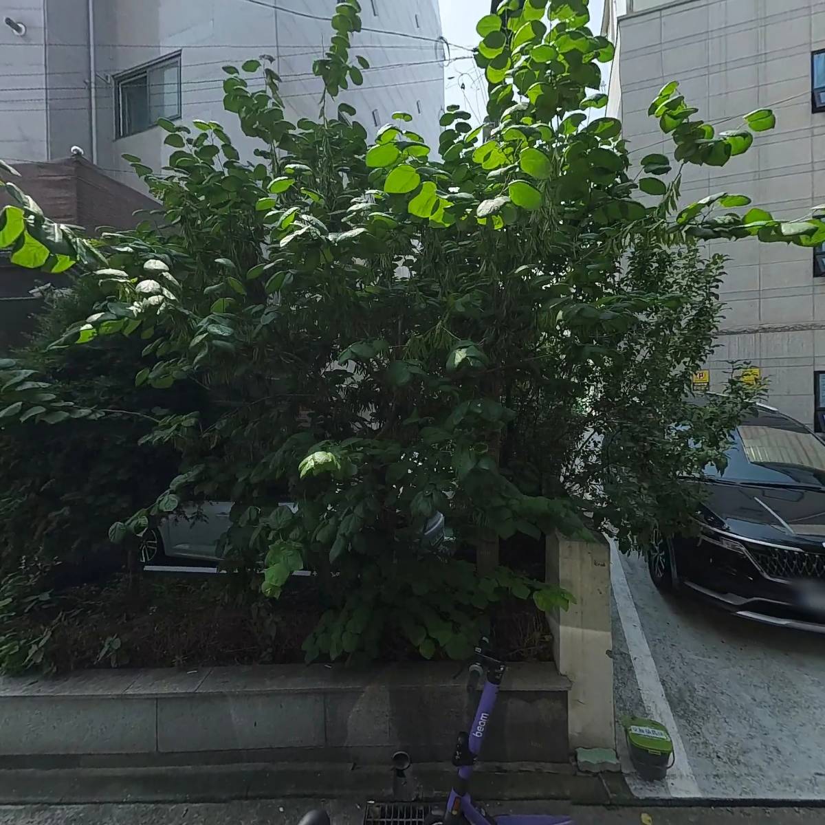 삼성전기산업 (주）