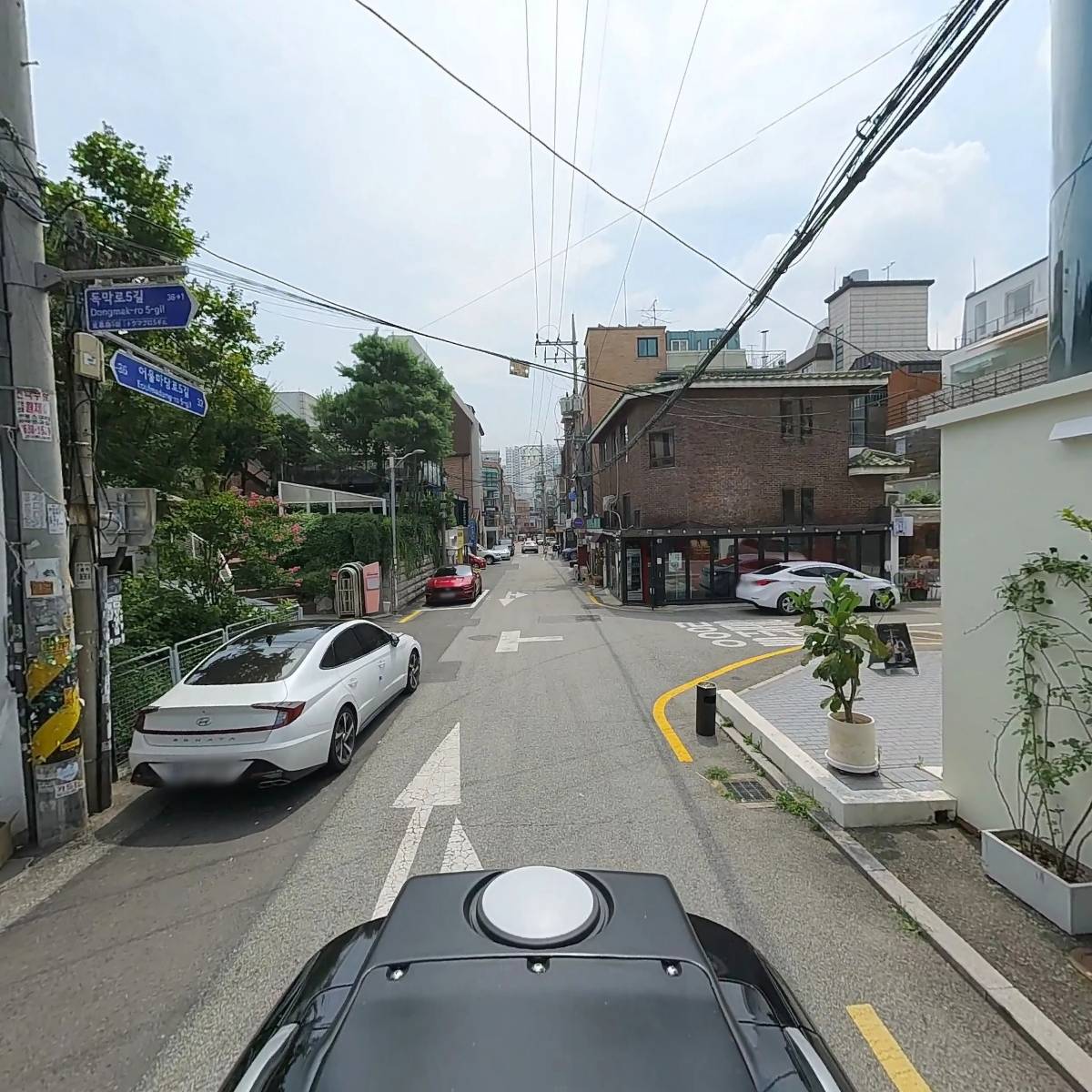 다노_2