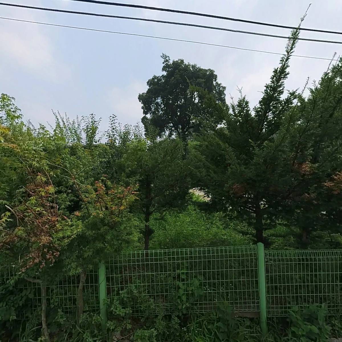 대도마을회