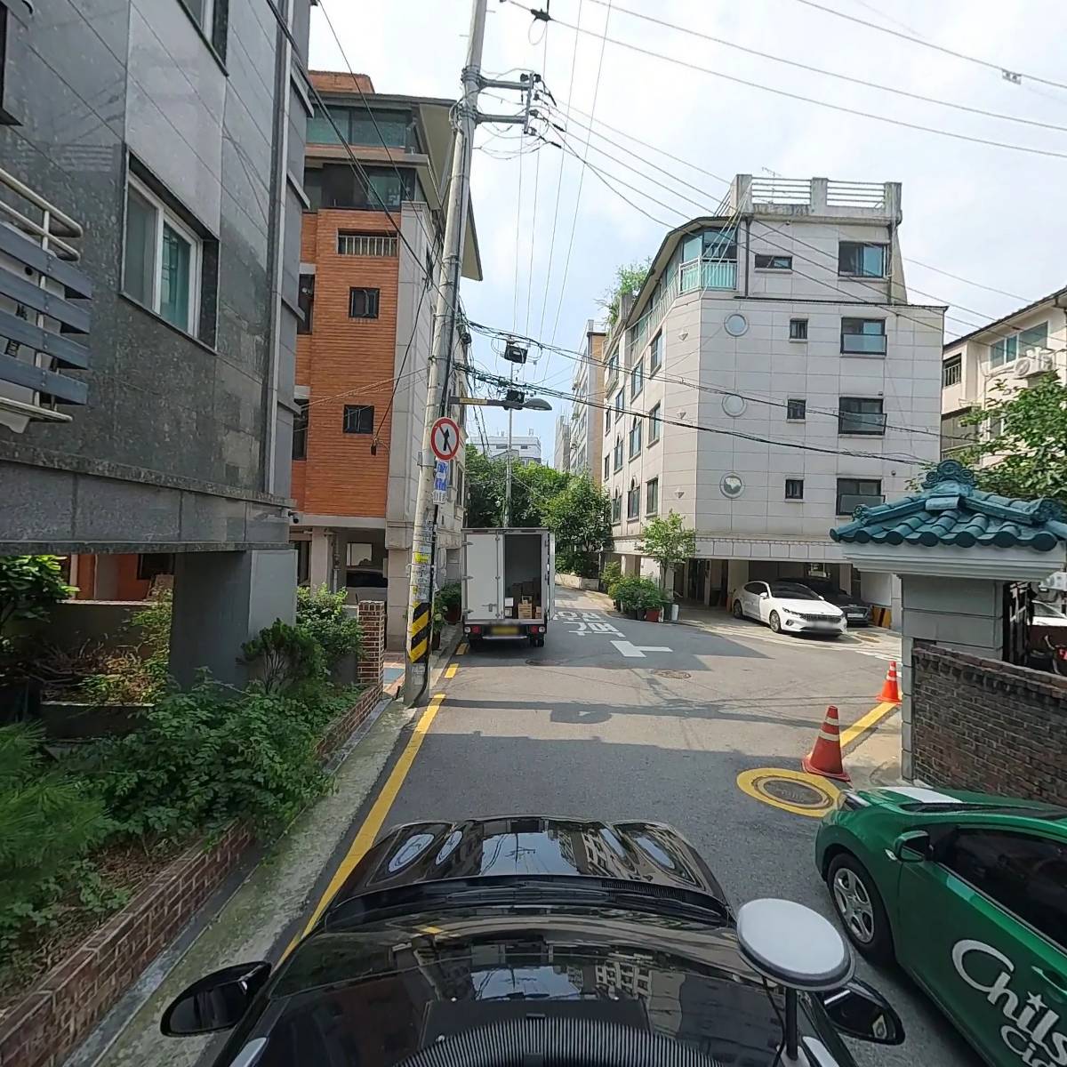 도림천 도롱뇽(도림 리자드)_4