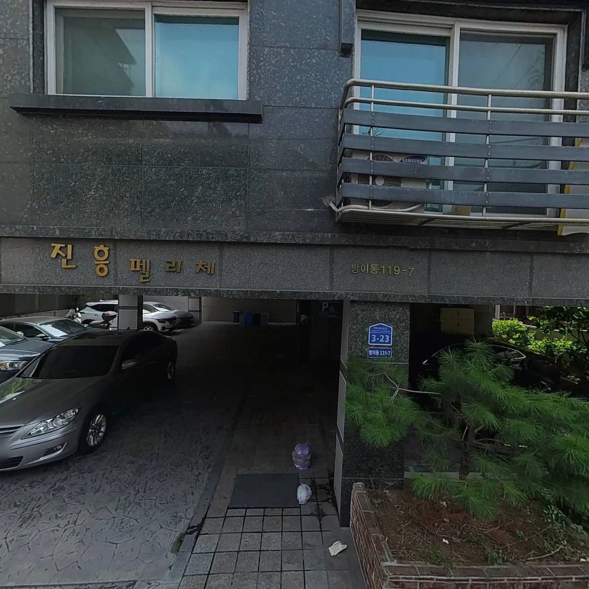 도림천 도롱뇽(도림 리자드)_3