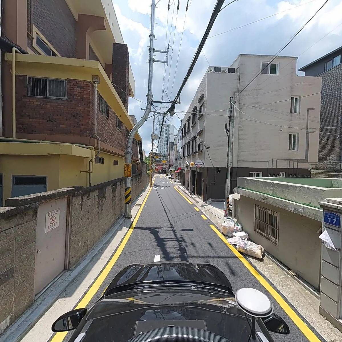 캣독_4