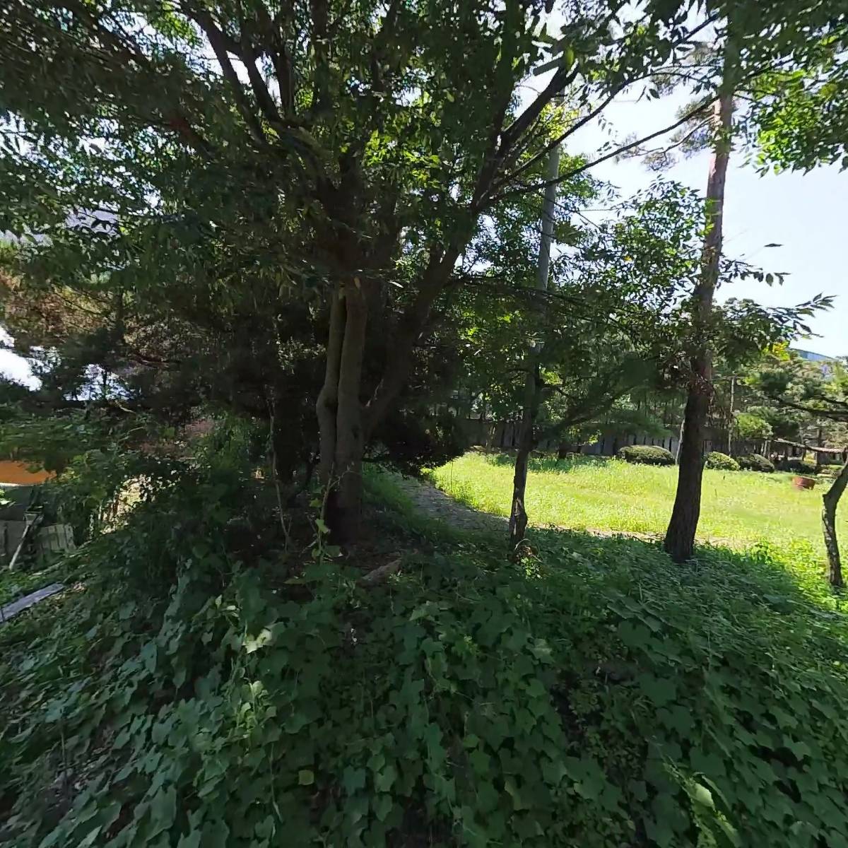 (주)새한텅스텐