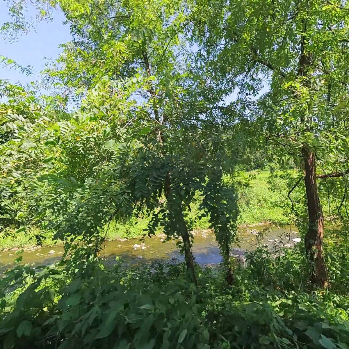 (주)새한텅스텐_3