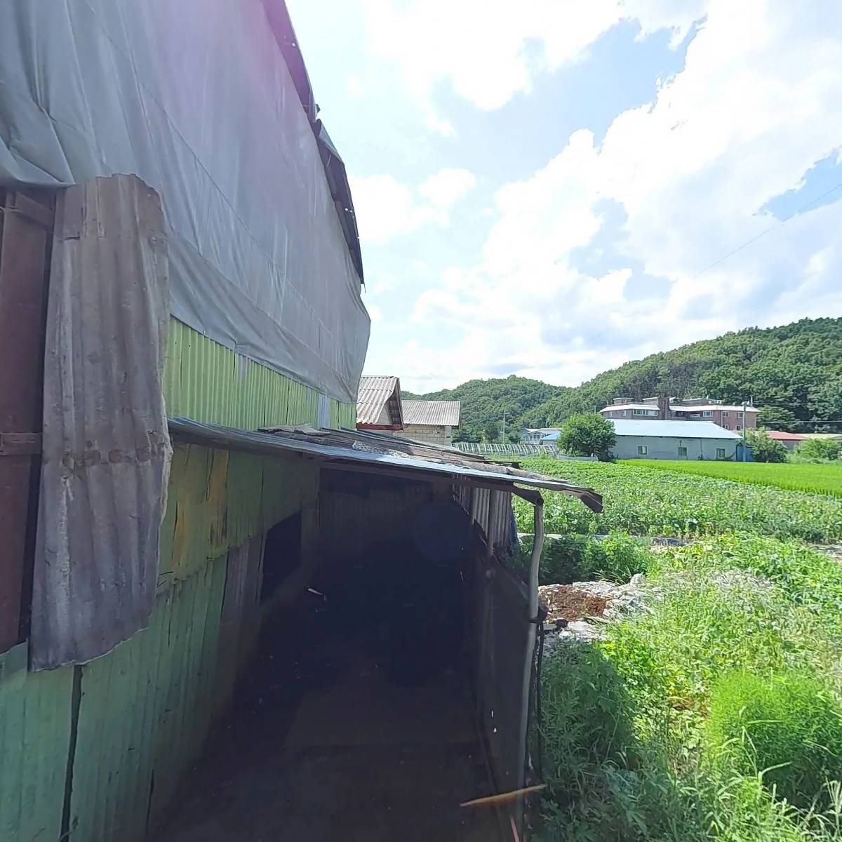 (주)프로센스_3