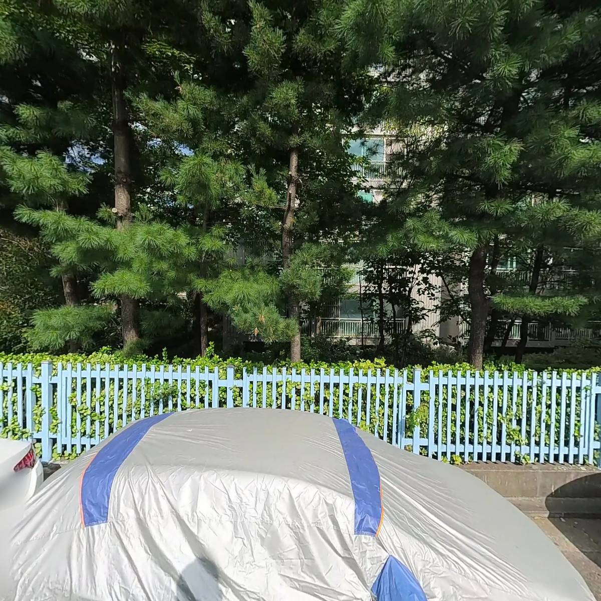 이요이요스시_3