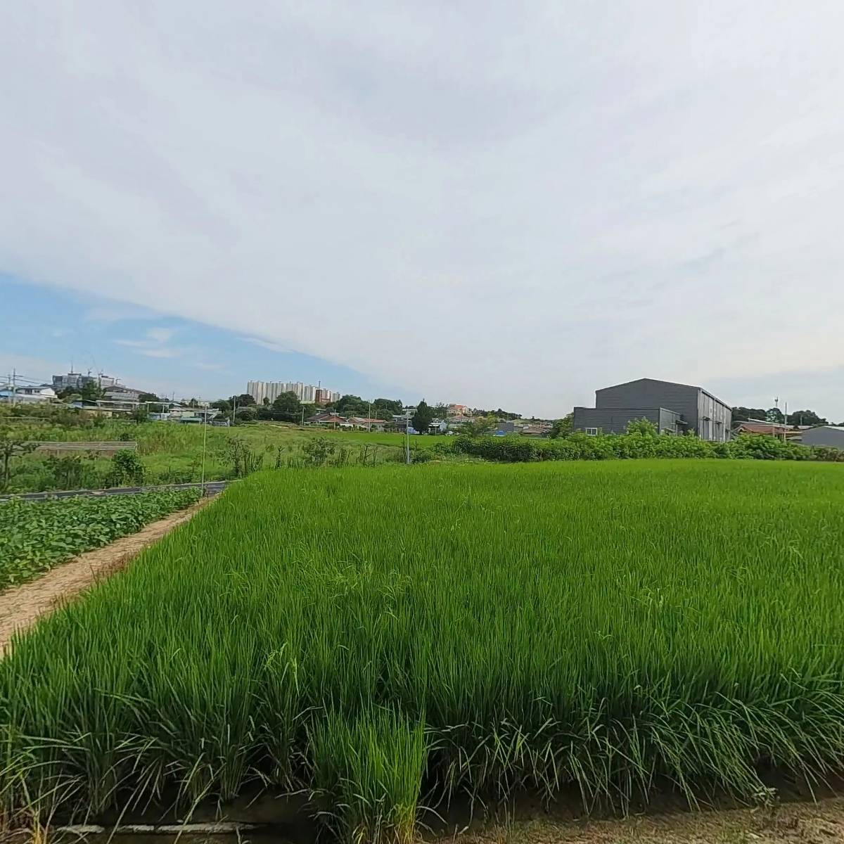 세영건설중기(선인개발중기)_3