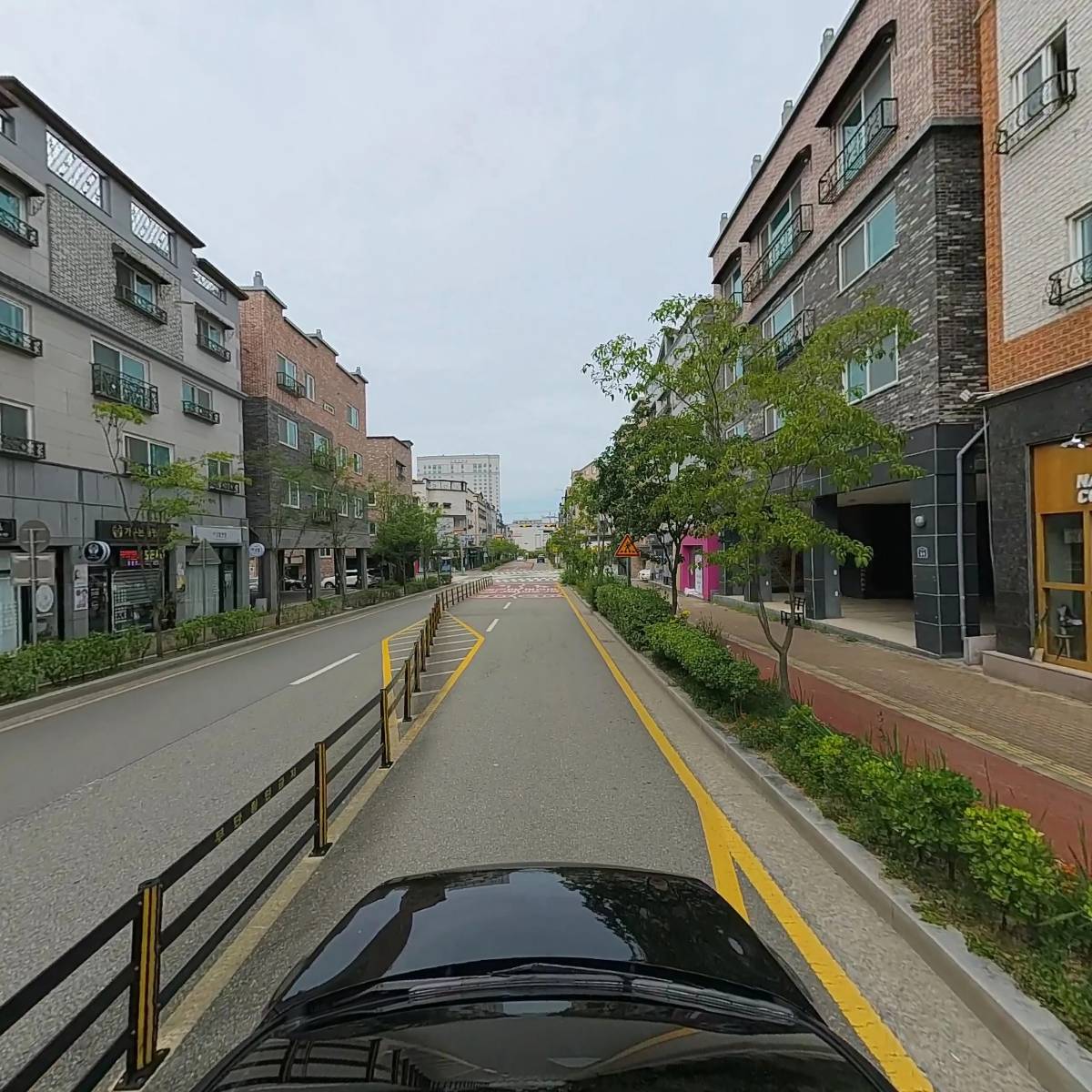낮달_4