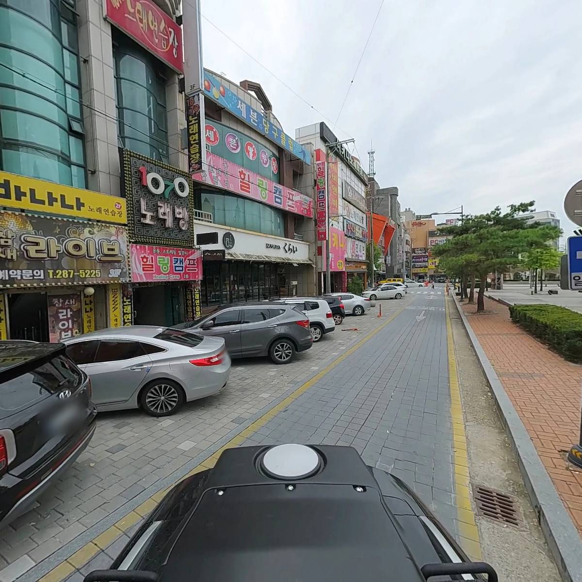 참새라이브_2