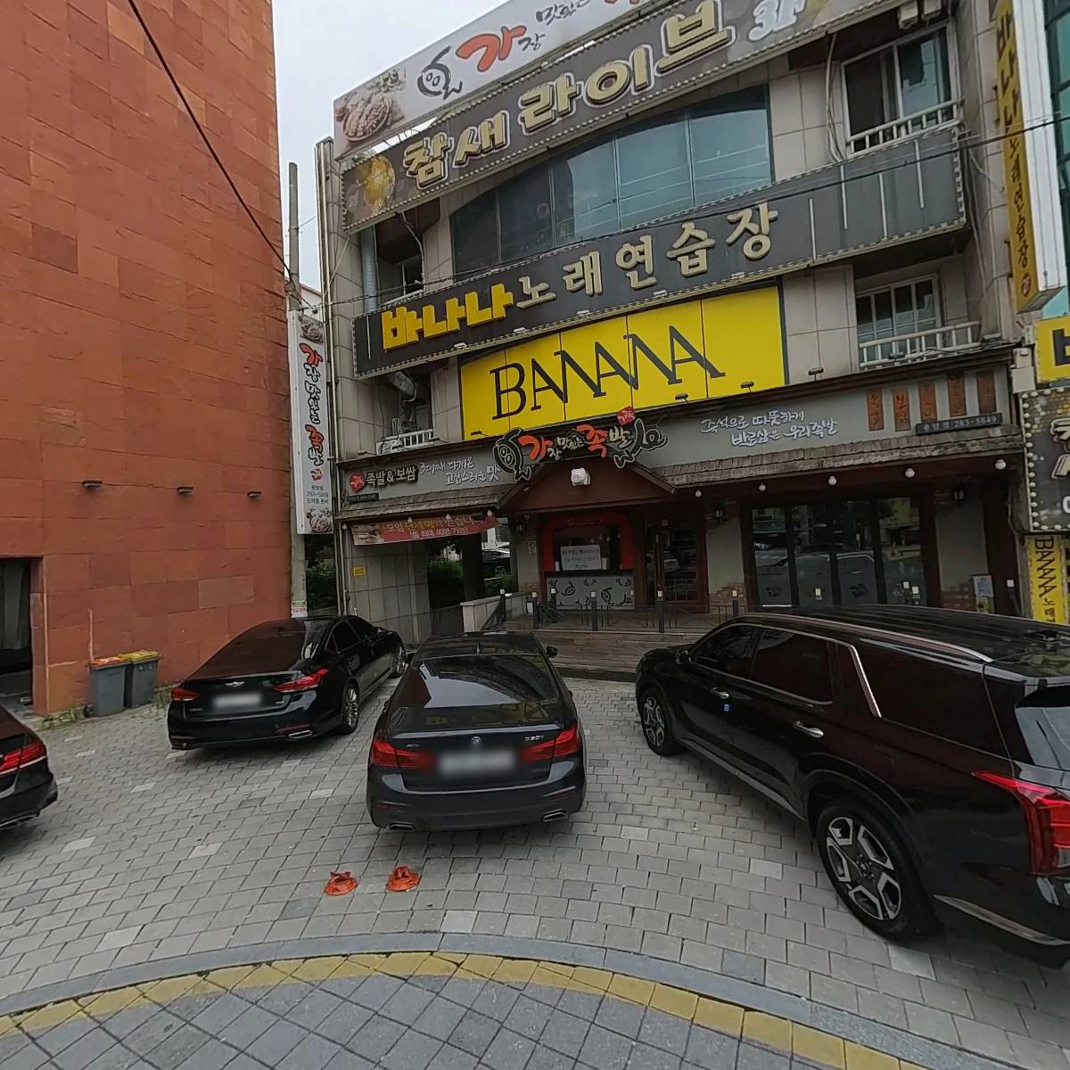 참새라이브