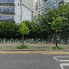 주식회사 레드엔비아