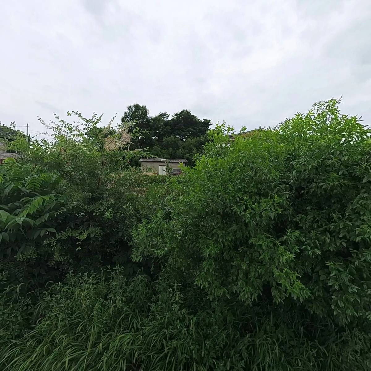 까망염소_3