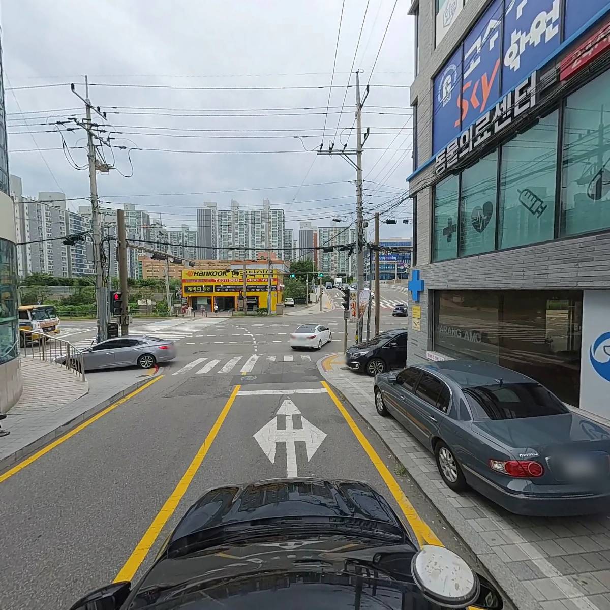 하랑동물의료센터_4