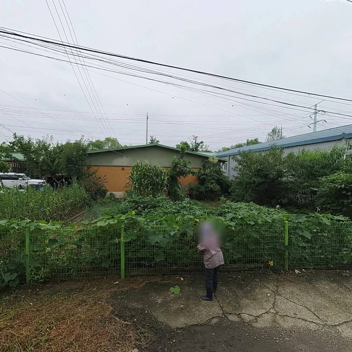 아인디자인
