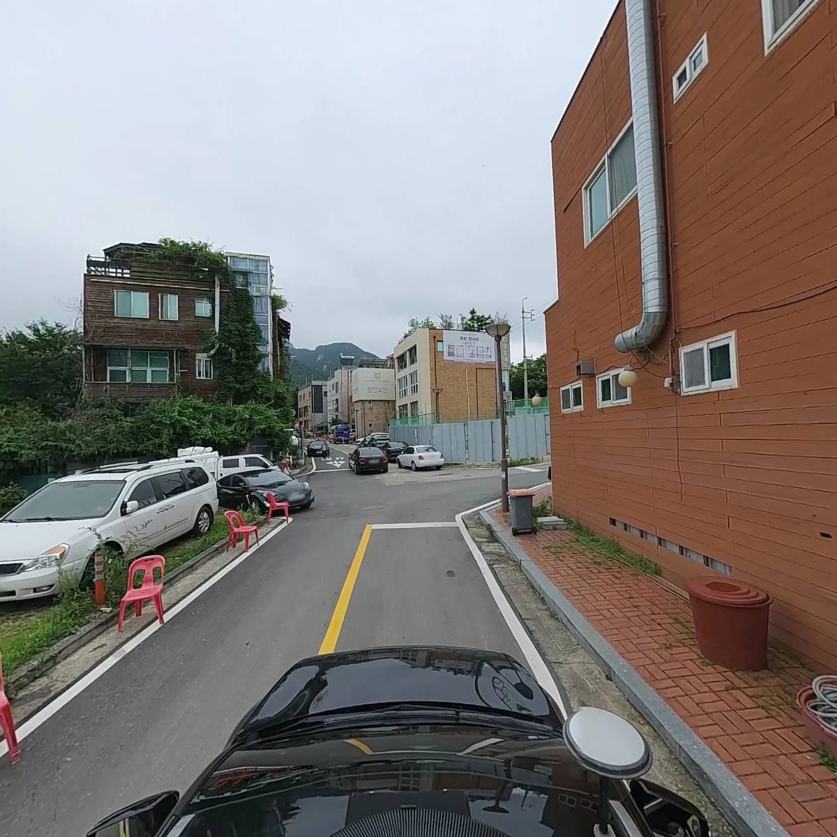 들꽃_4