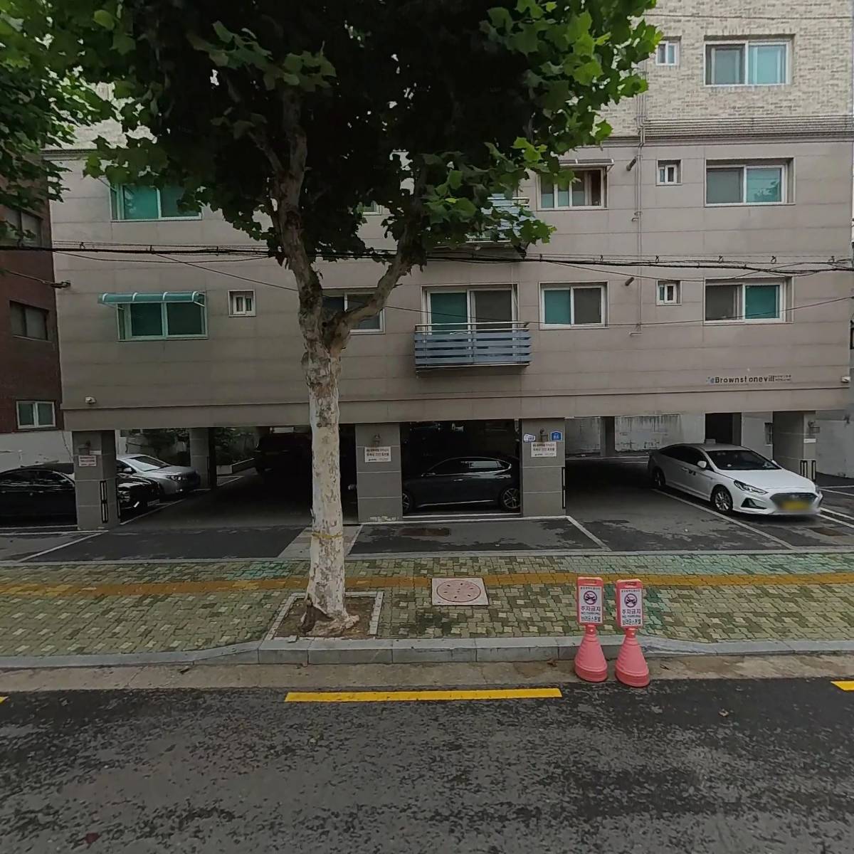 고인터내셔널