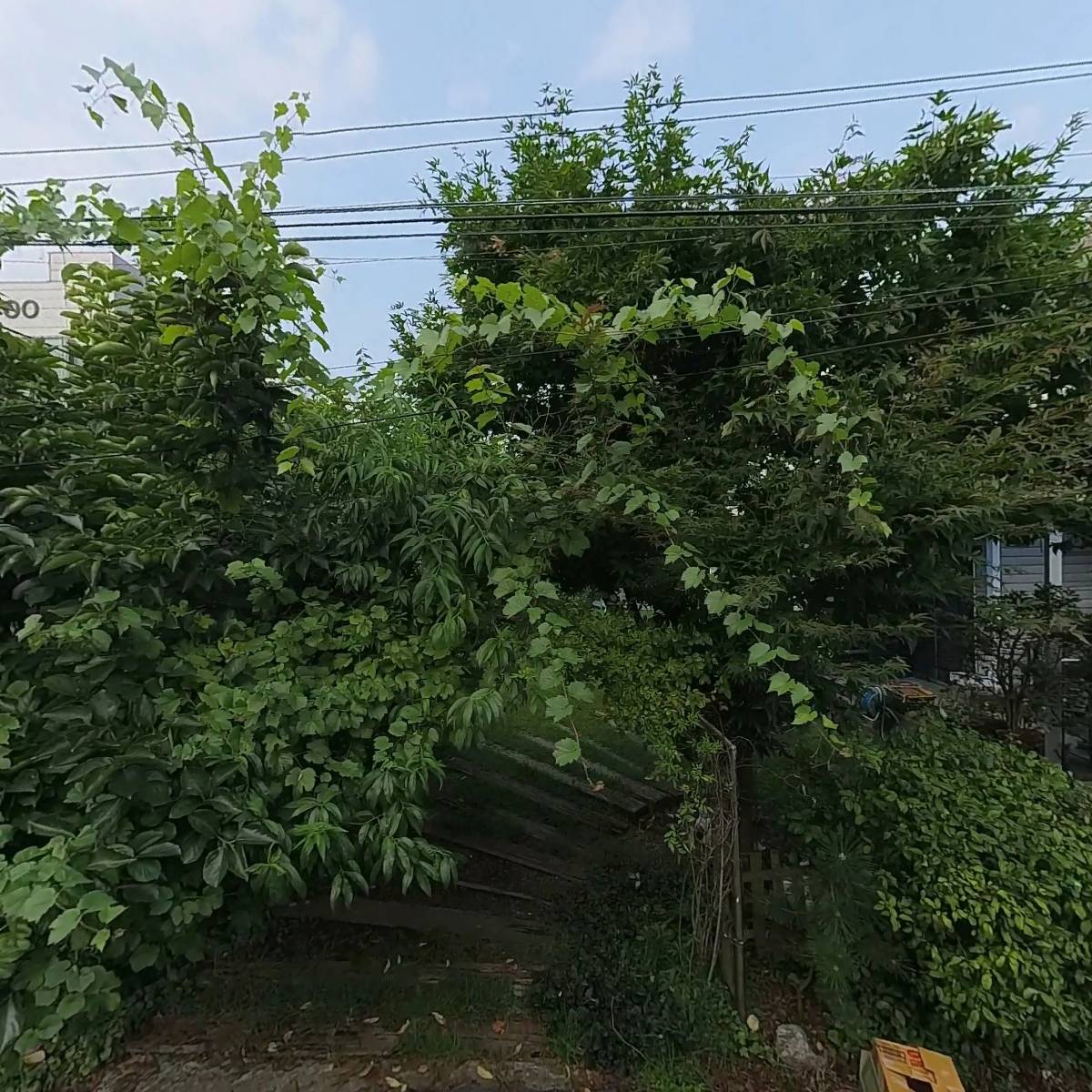 （주）우신인터내셔널