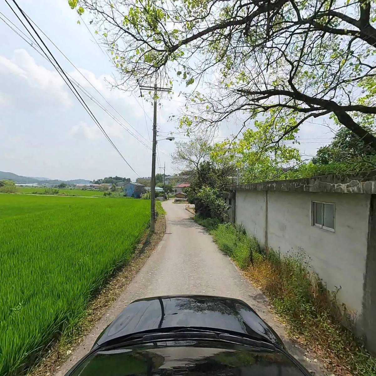 저산속에_4