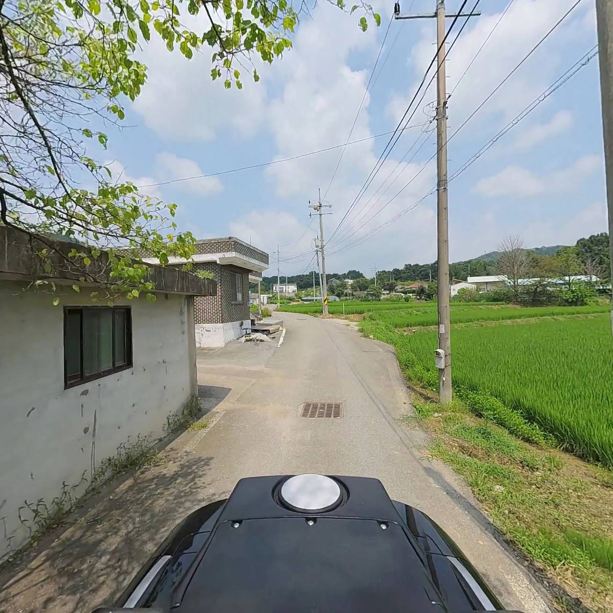 저산속에_2